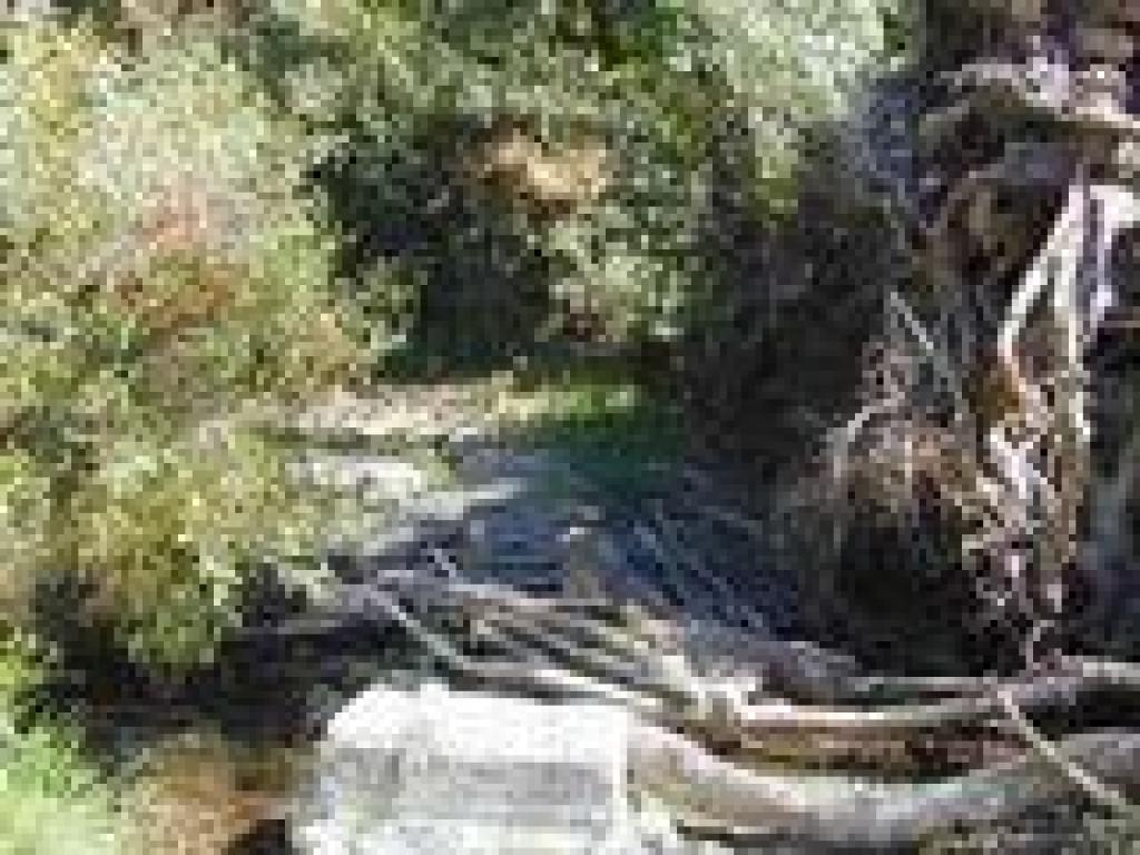 River crossing