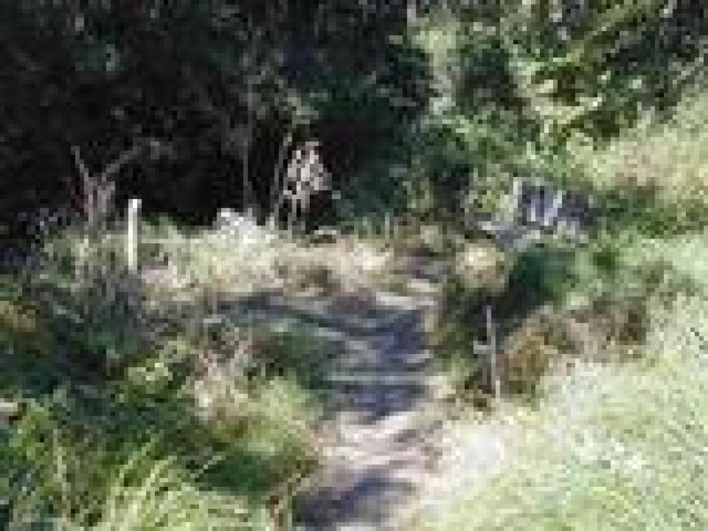 Bench