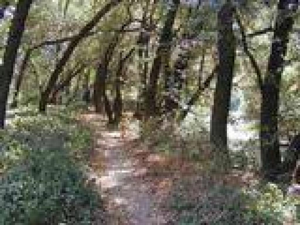 Near the river