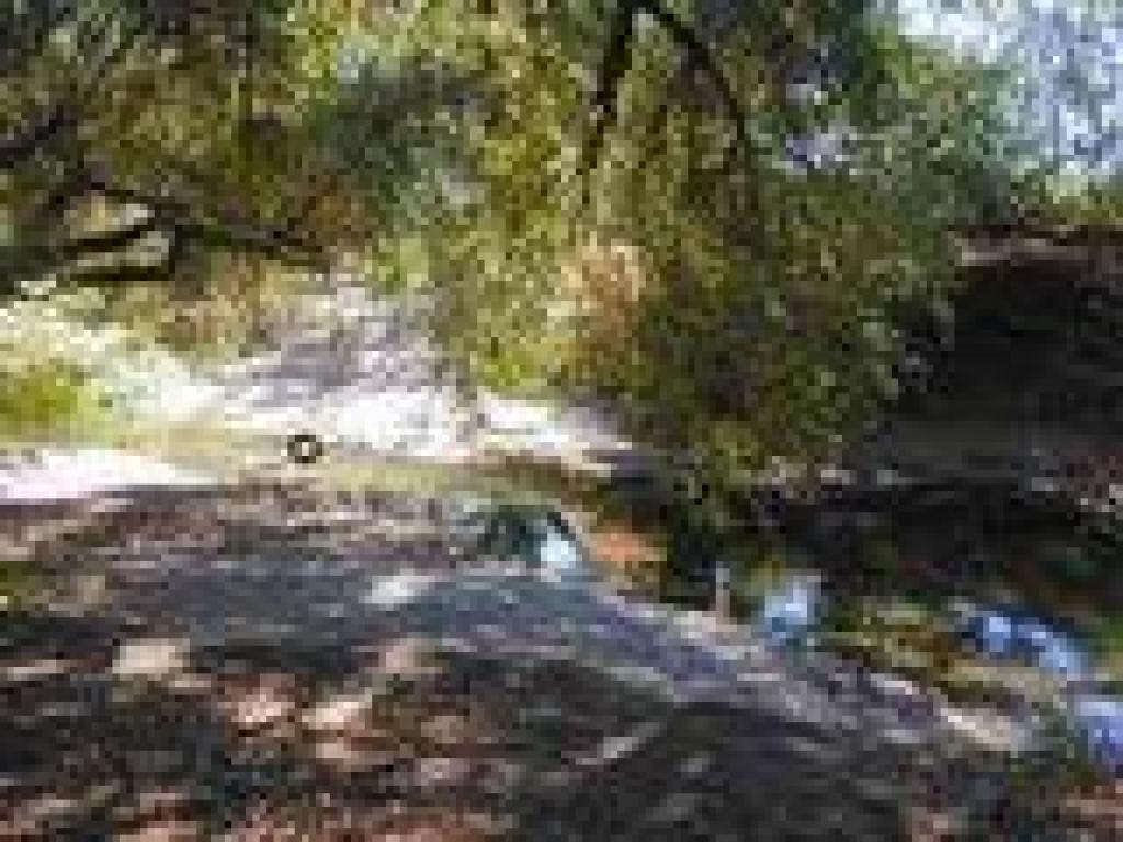 Napa River