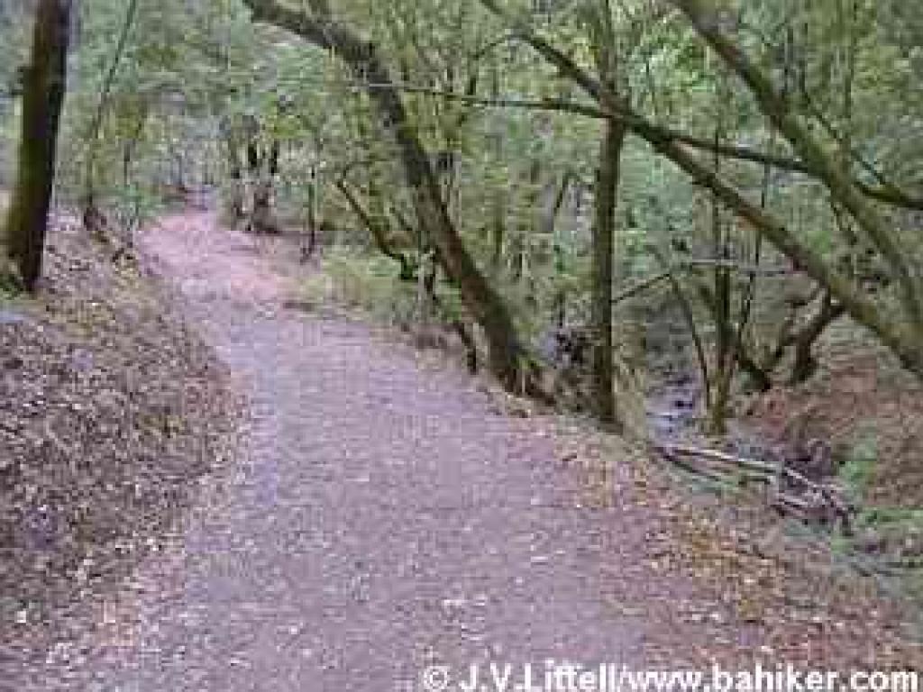 Loop Trail