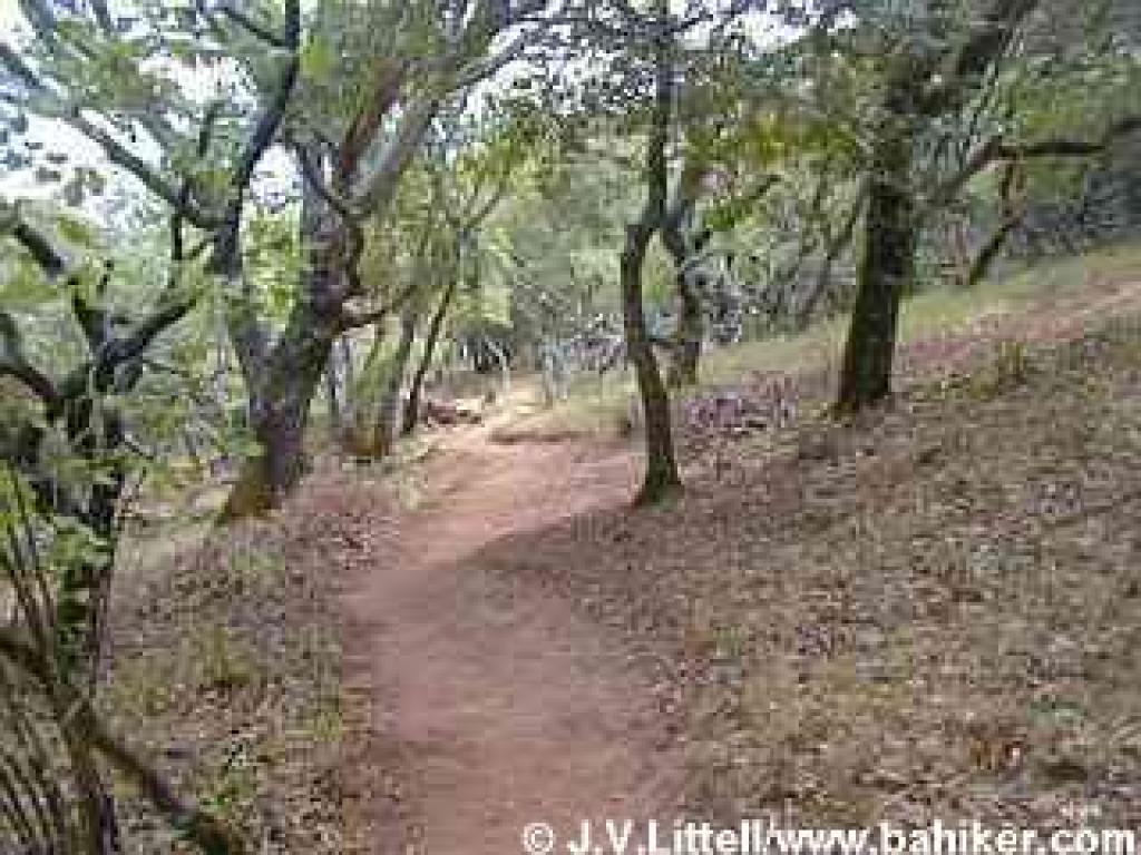 Loop Trail