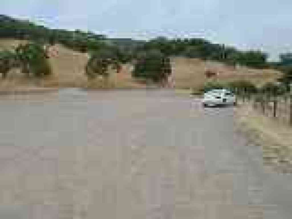 Trailhead