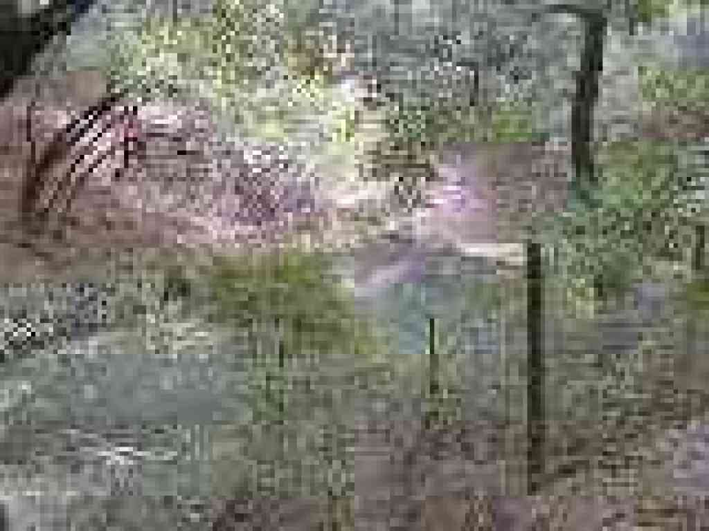 Little reservoir