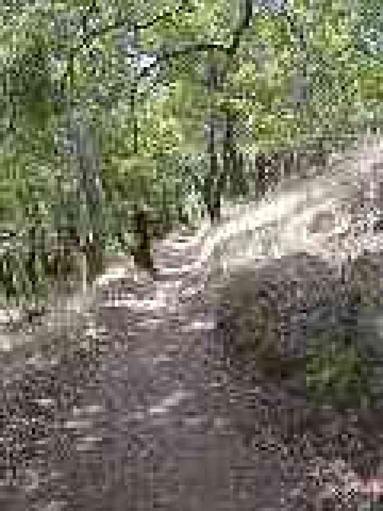 Loop Trail