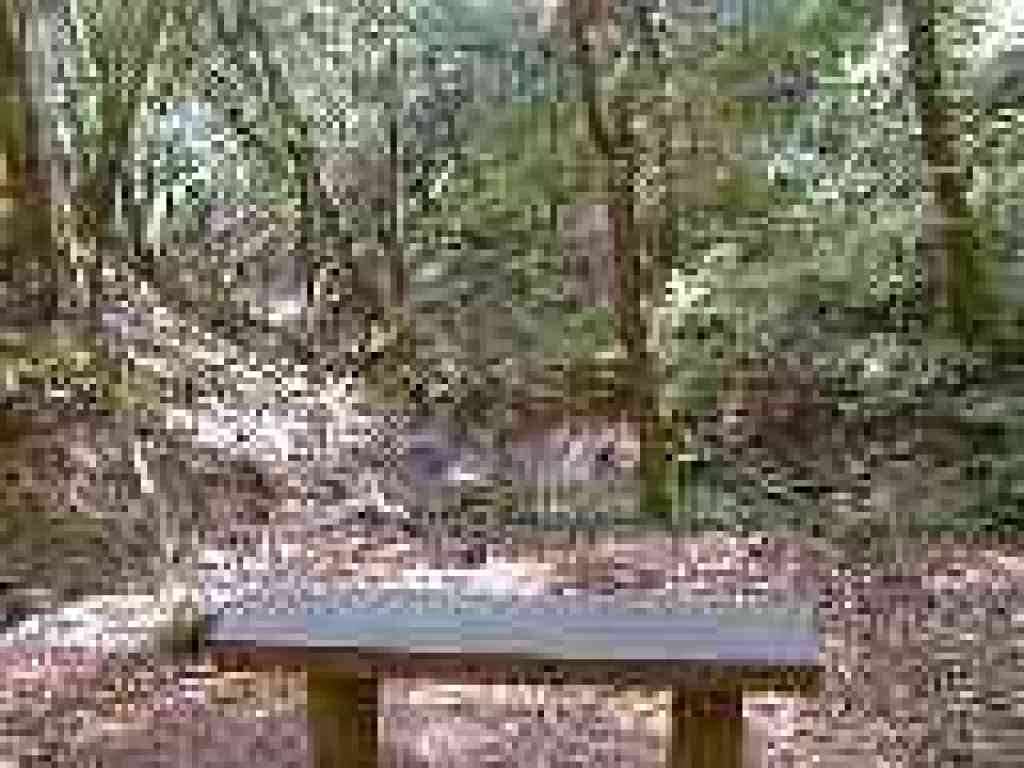 Bench