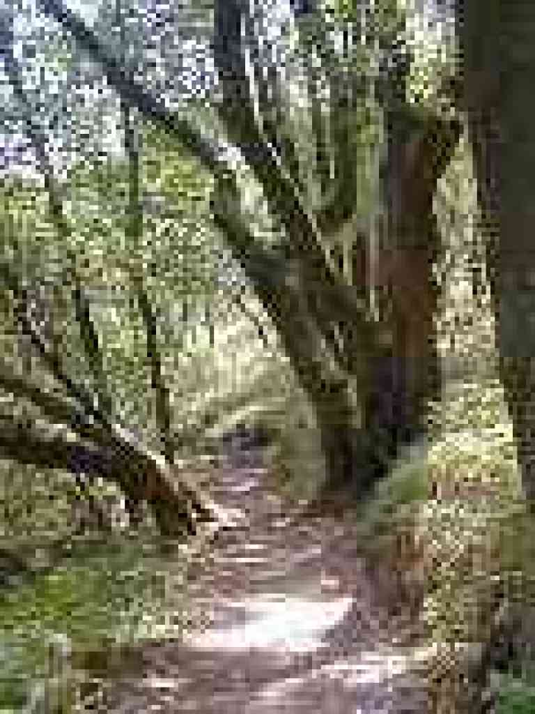 California bays