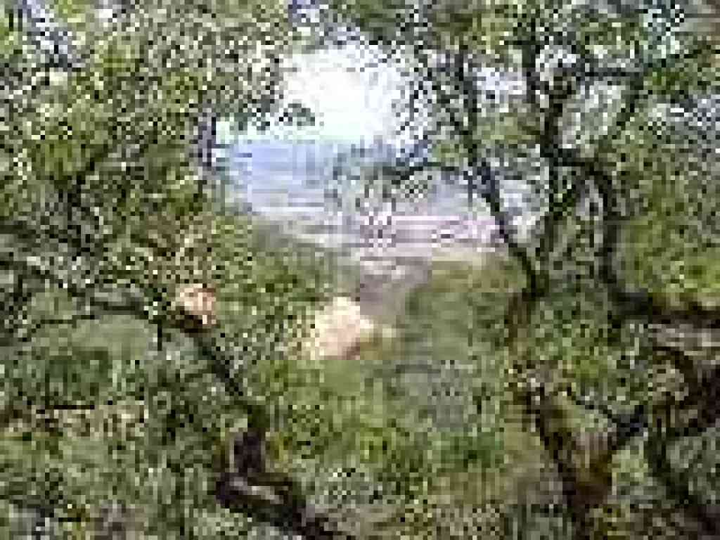 Glimpse east