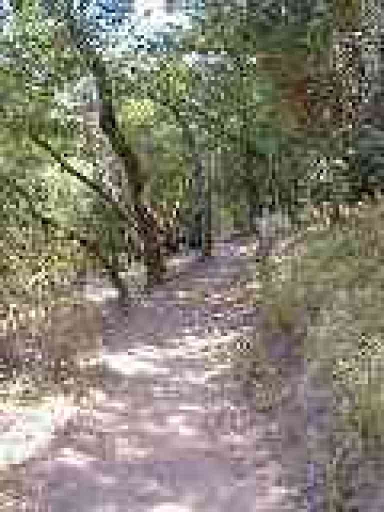 Switchback