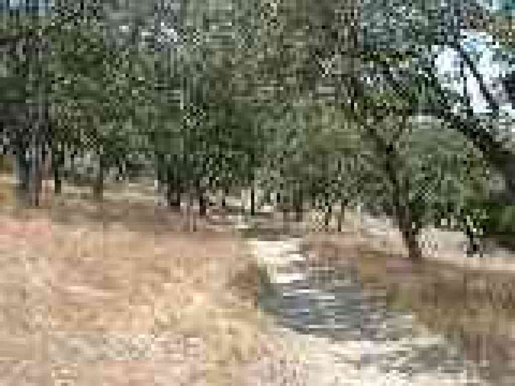 Loop Trail
