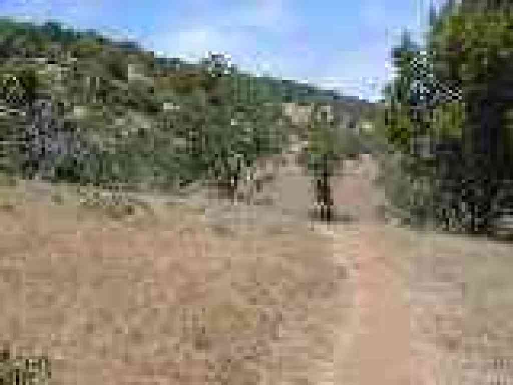 Loop Trail
