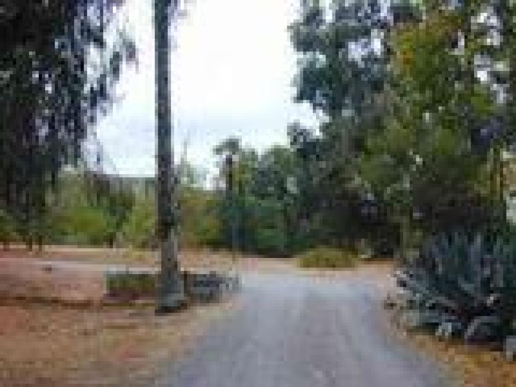 Path curves left