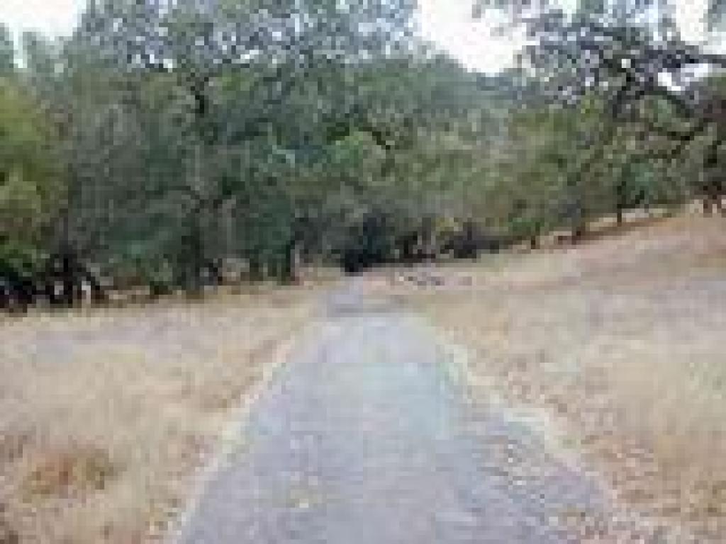 Loop Trail