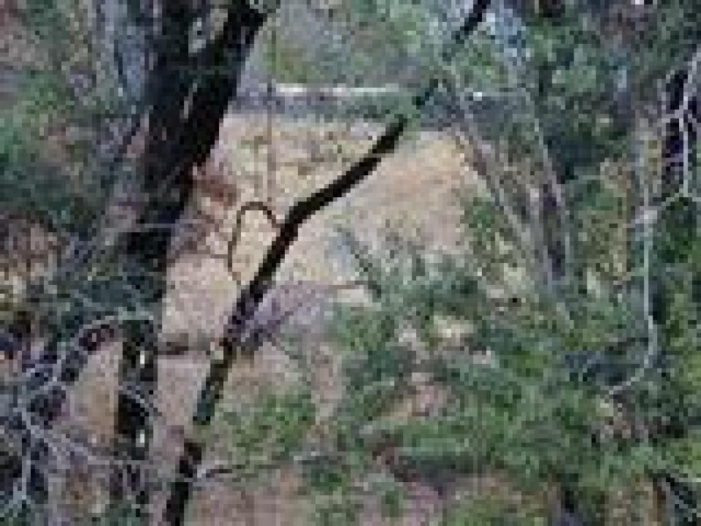 Glimpse of a stone wall