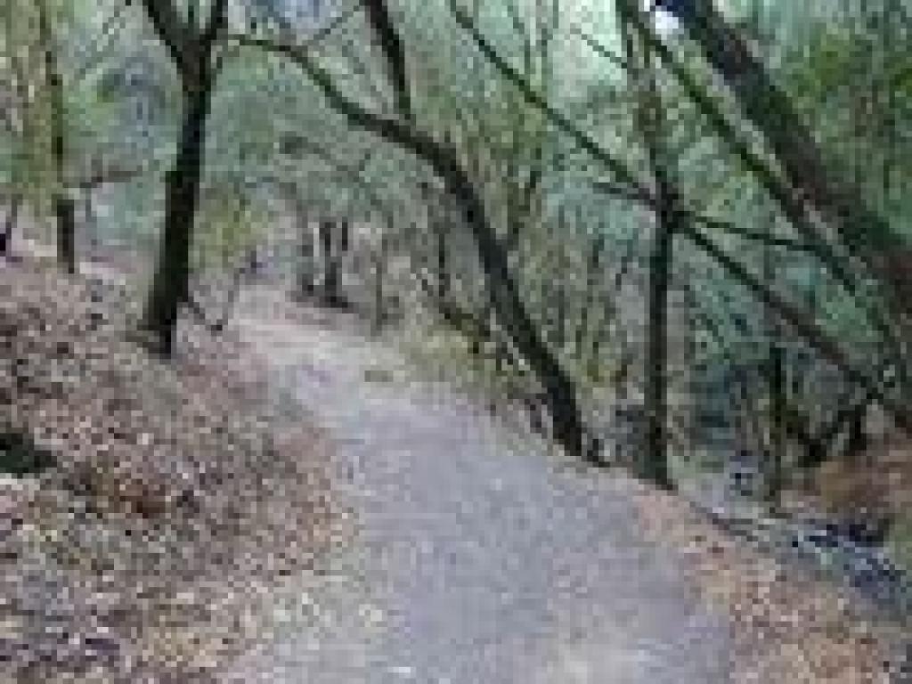 Uphill