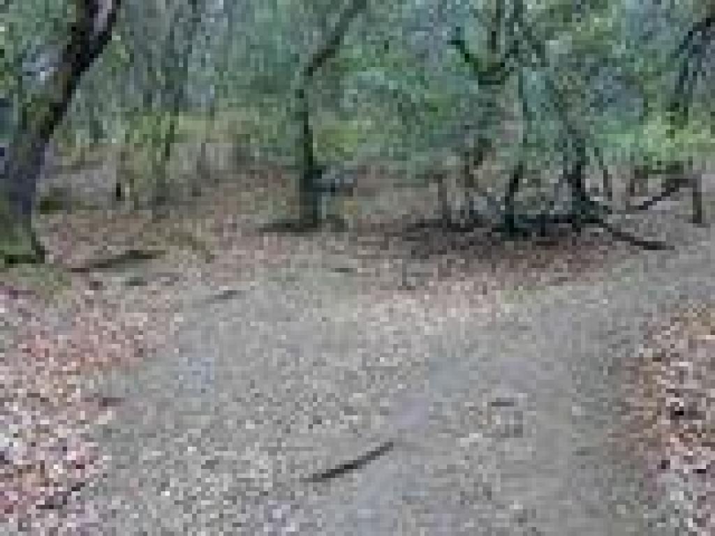 New trail segment veers right
