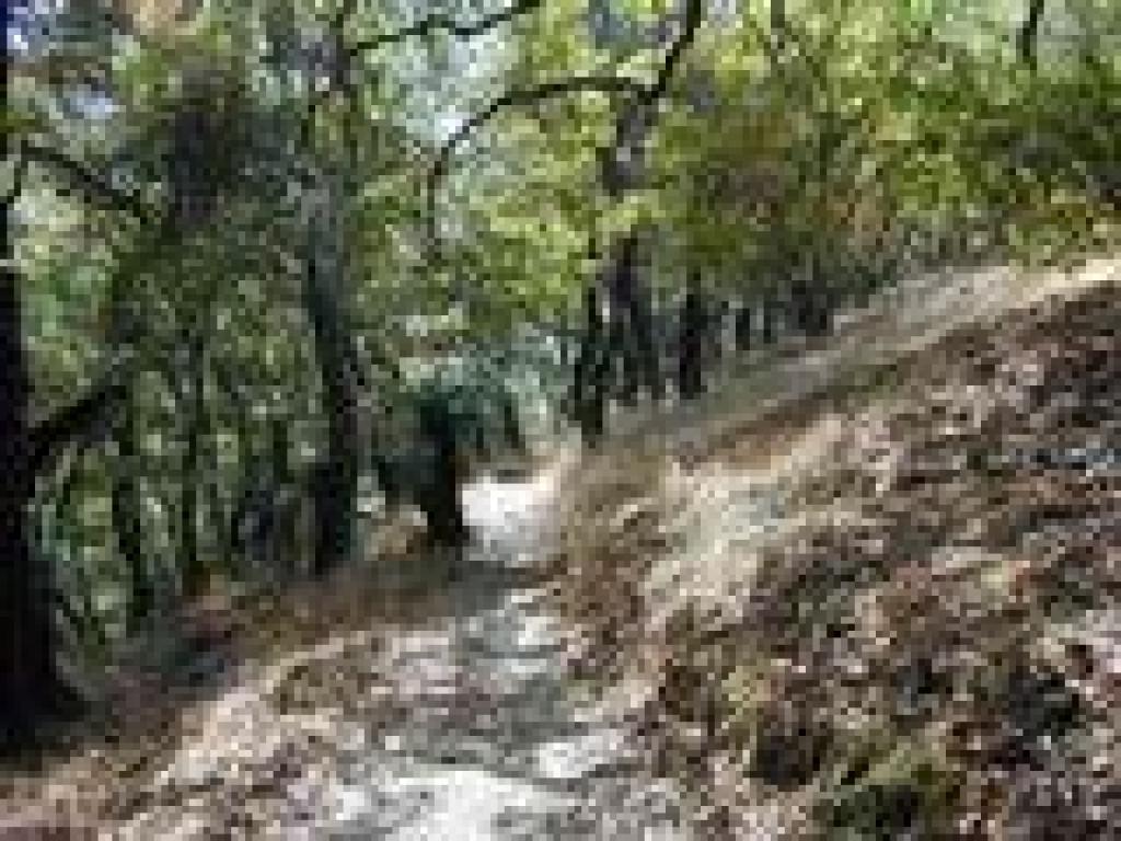 Back on Loop Trail