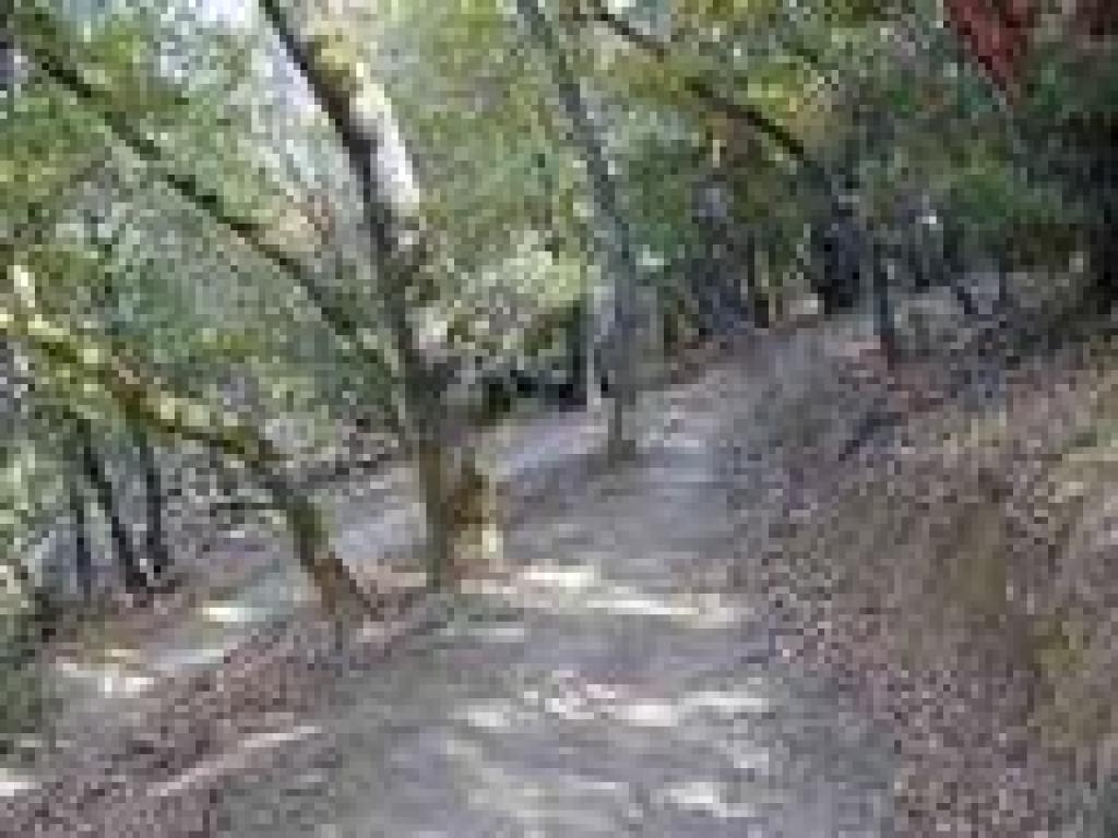 Switchback