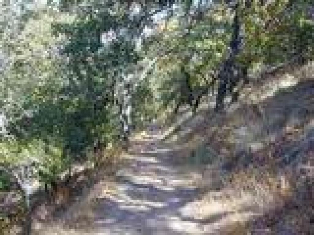 Rocky descent