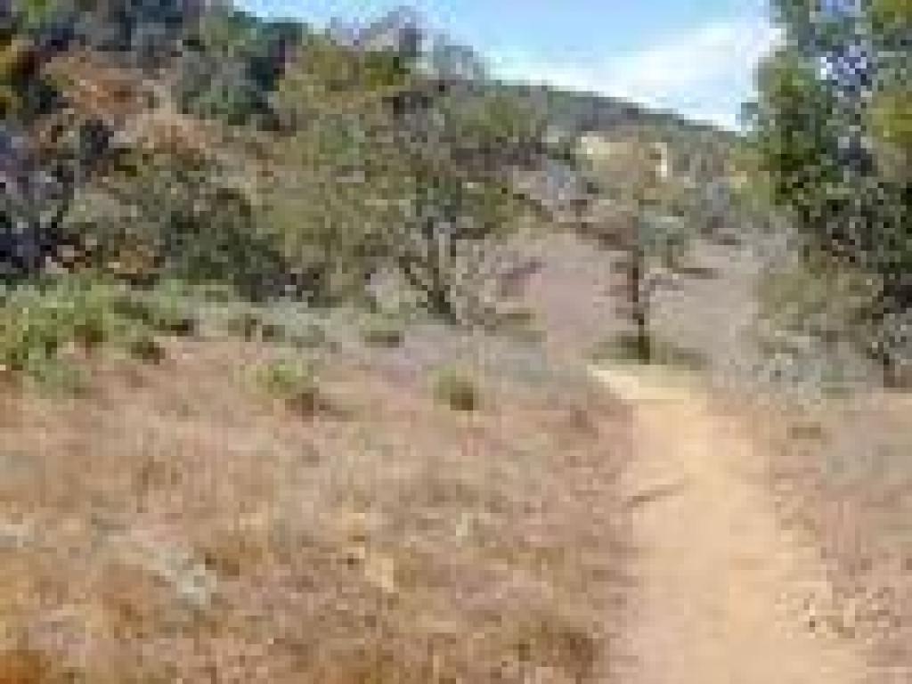Nice views through here