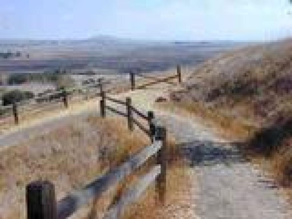 Trail turns sharply left
