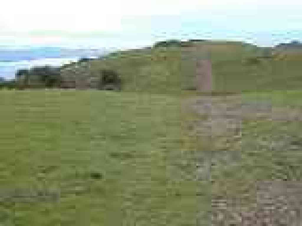 Path through grassland