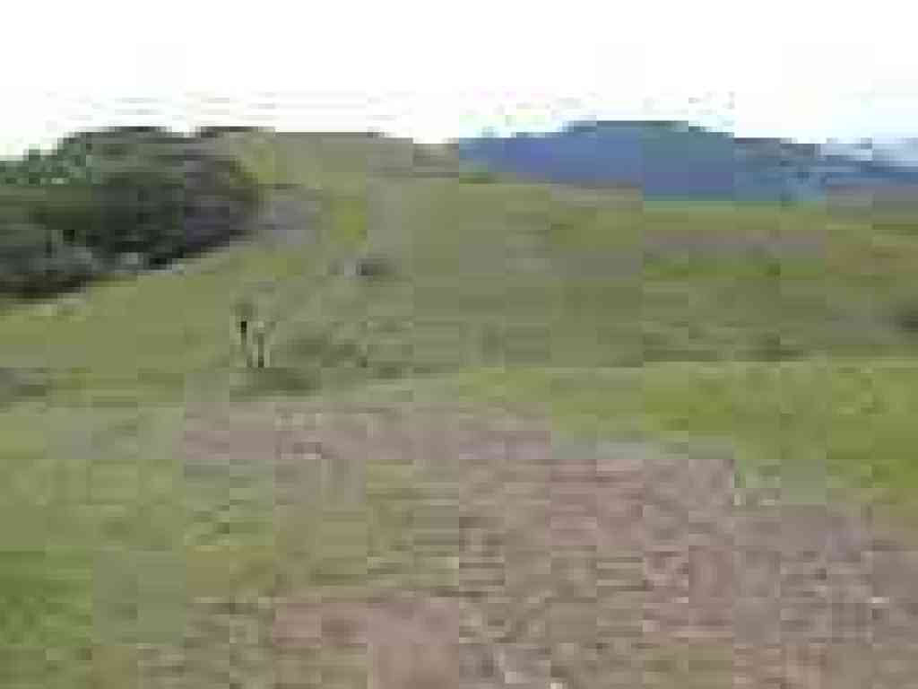 Angel Island becomes visible