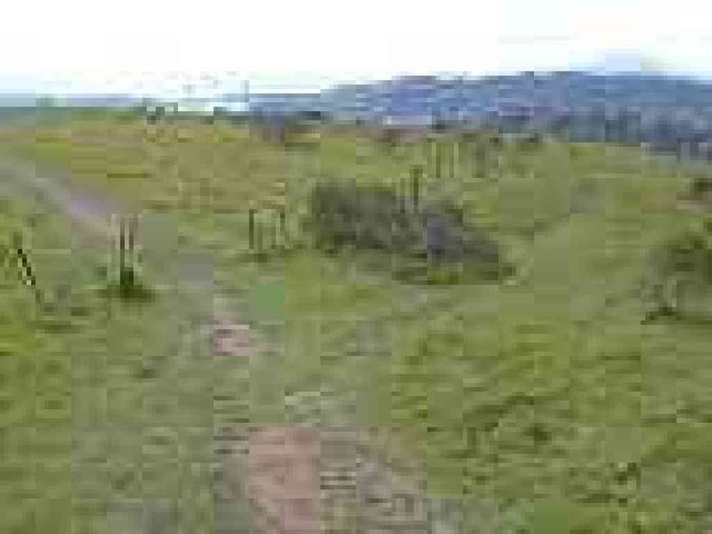 Junction
