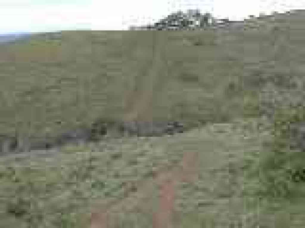 Path