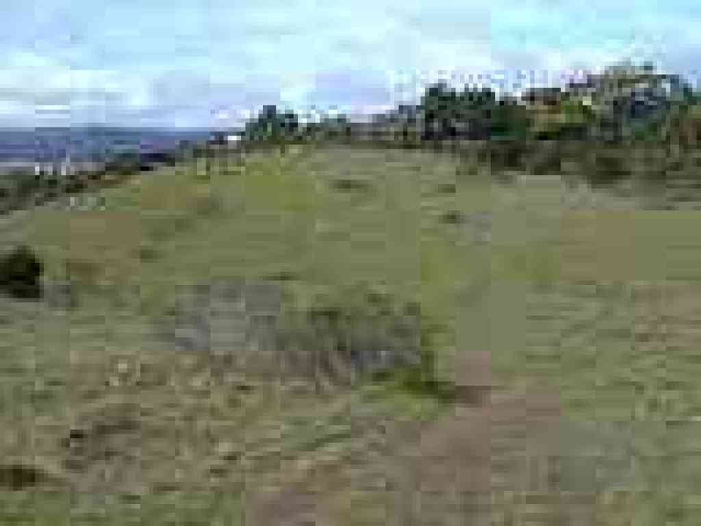 Returning to trailhead