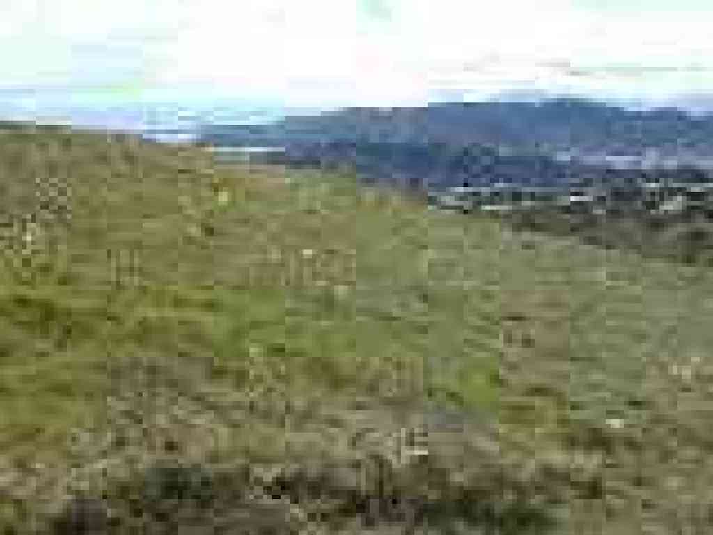 View to Headlands and Golden Gate Bridge
