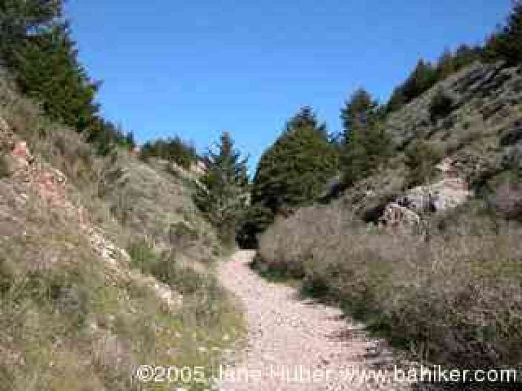Coast Trail