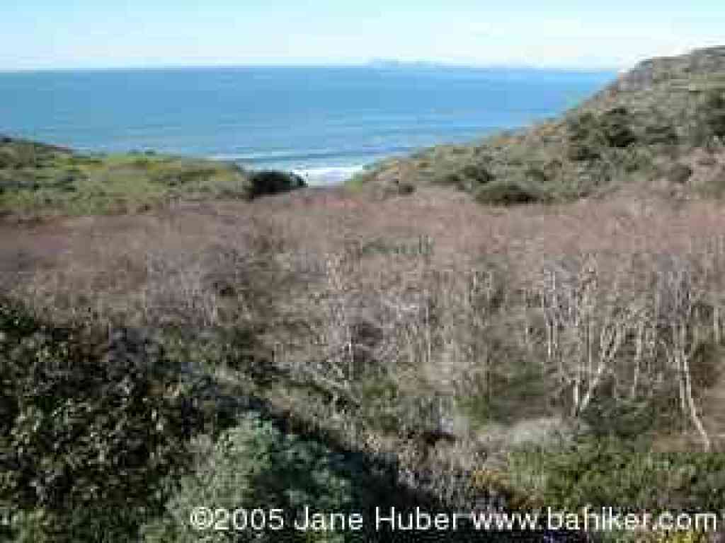 Trail to Alamere Falls
