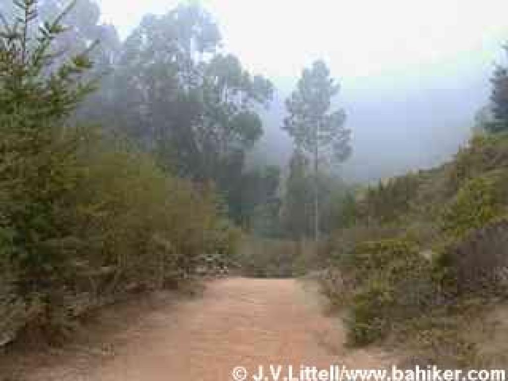 Starting out on Coast Trail