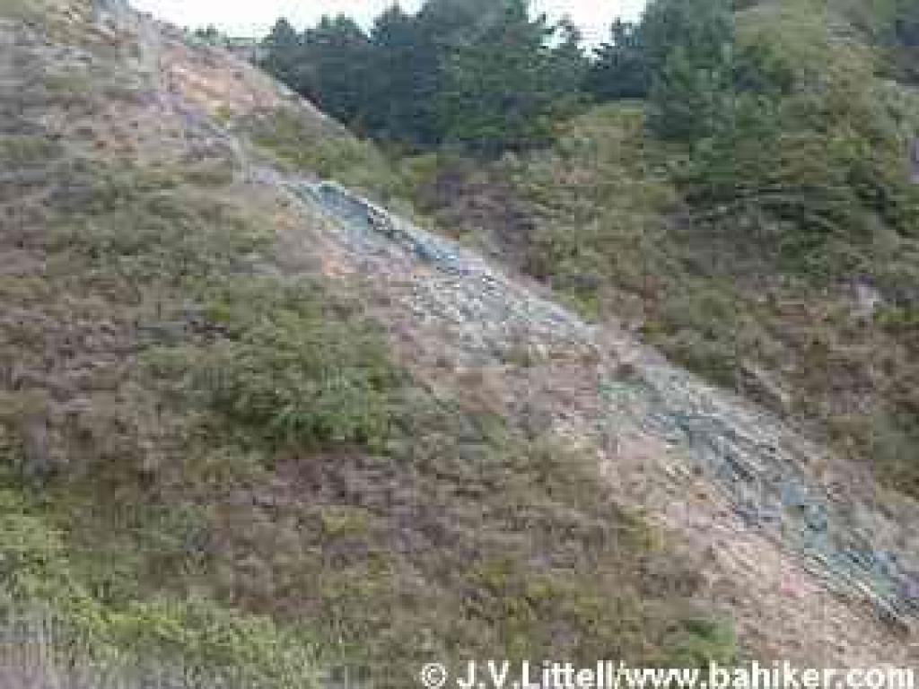 Serpentine rock