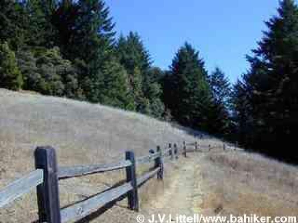 Starting out on Matt Davis Trail