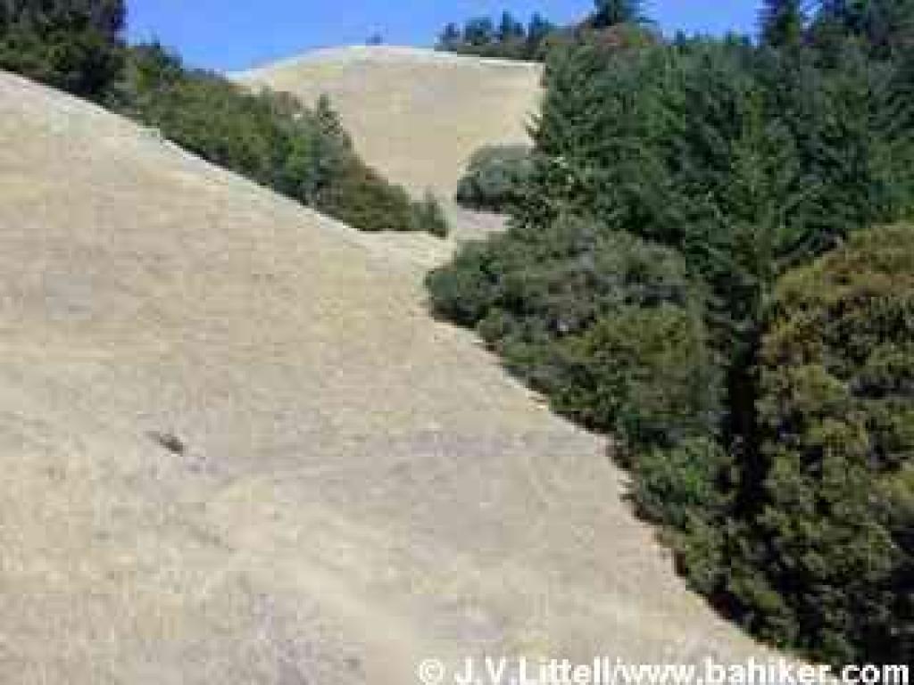 Old Mine Trail