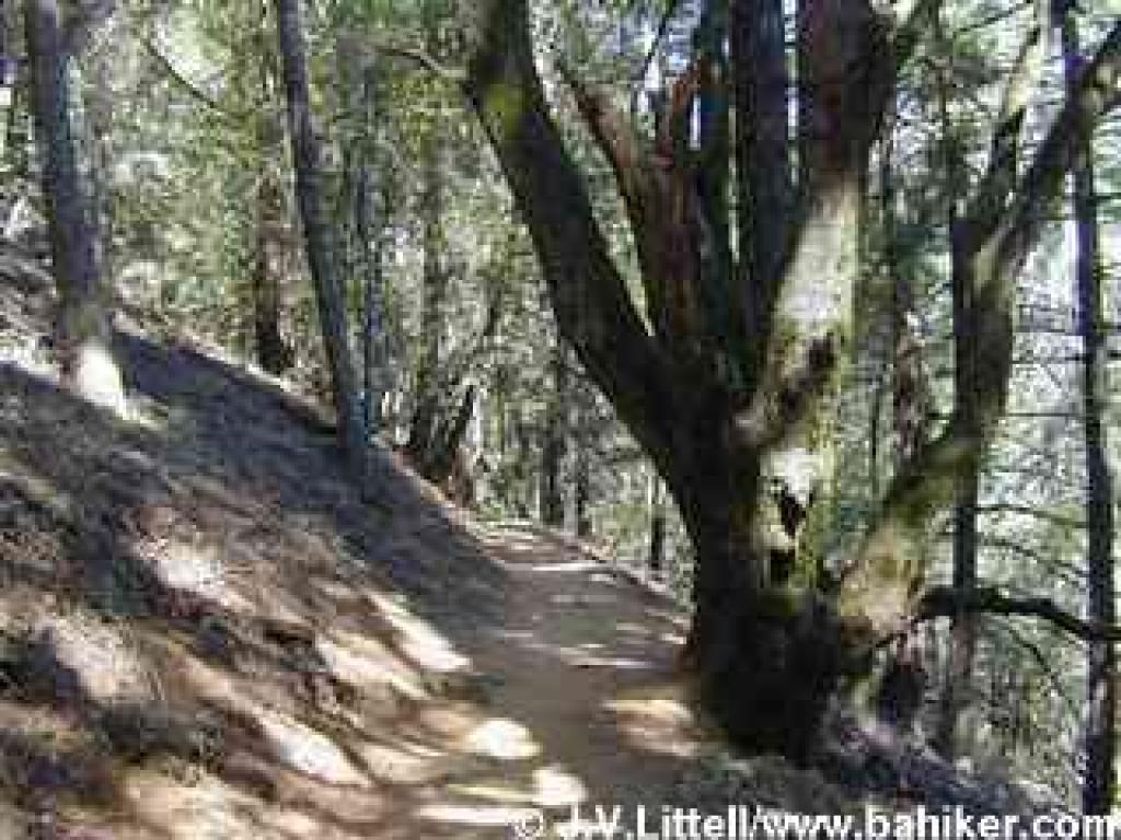 Easy Grade Trail