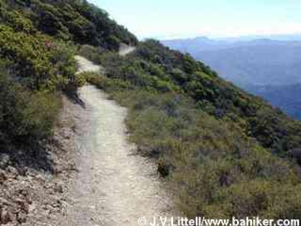Rock Spring Trail