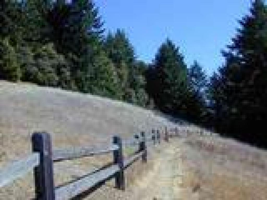 Matt Davis Trail