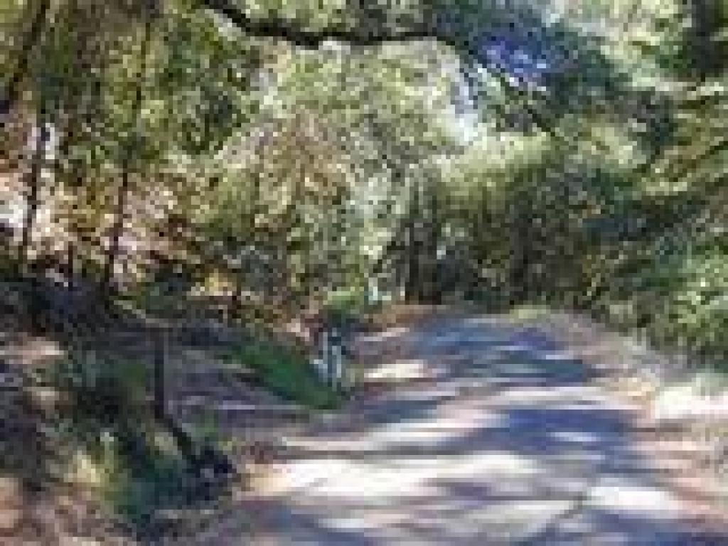 Junction with Old Mine Trail