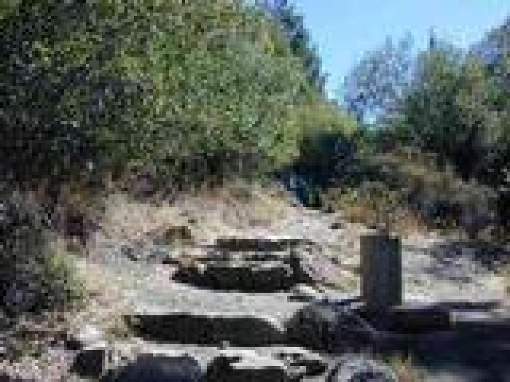 Spur to Rock Spring Trail