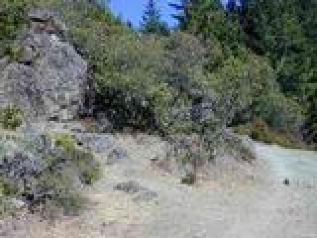 Rock Spring Trail
