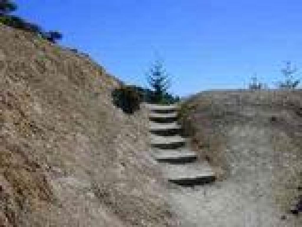 Steps