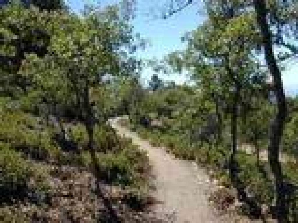 Approaching end of the trail