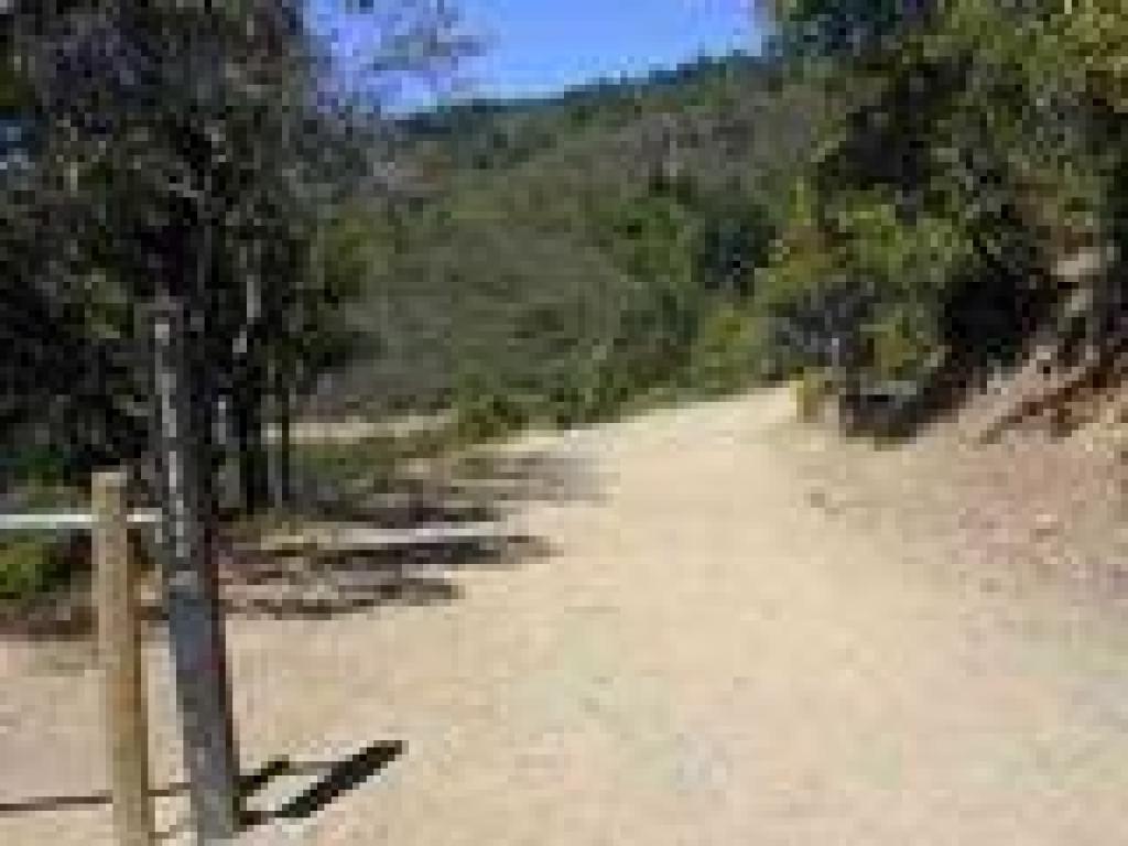 Old Stage Road