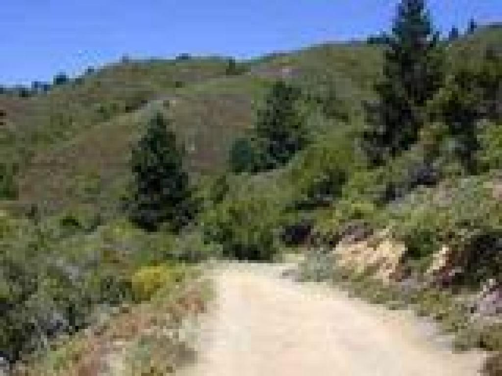 Old Stage Road