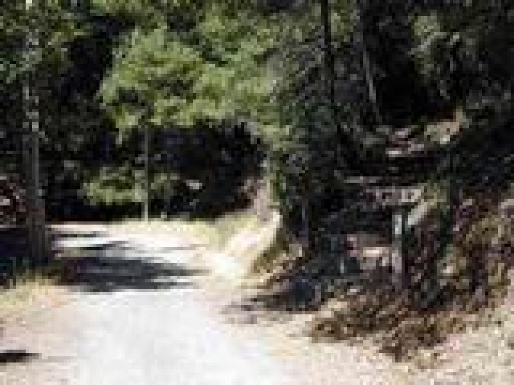 Junction with Bootjack
