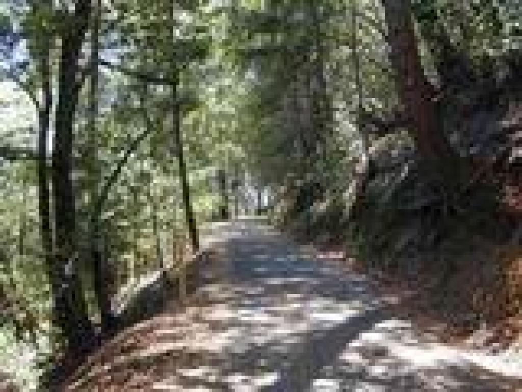 Old Stage Road