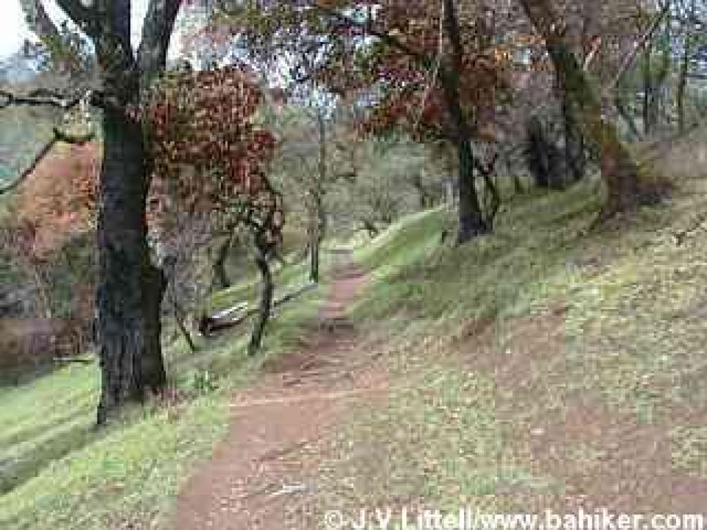 Yolanda Trail